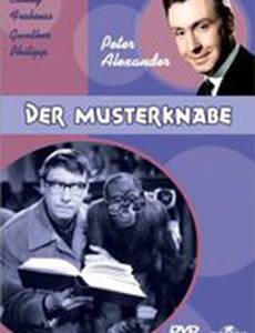 Пай-мальчик