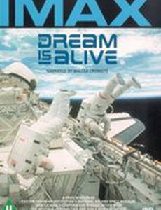 Мечта сбывается