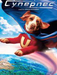 Суперпес