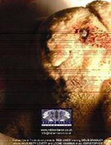 Красные линии