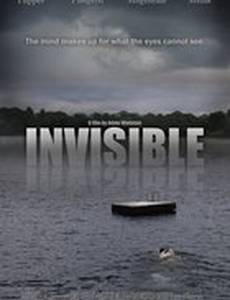 Invisible