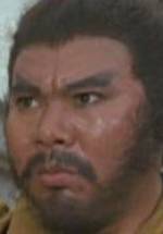 Мей Шенг Фэн фото