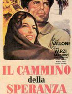 Дорога надежды