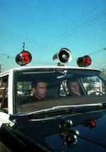 Кент МакКорд фото