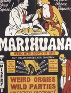 Марихуана