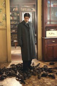 Кадр Уиллард