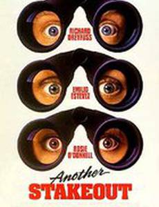 Слежка 2: Снова в засаде