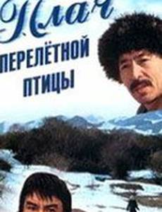 Плач перелетной птицы