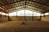 Кадр Обезьянки