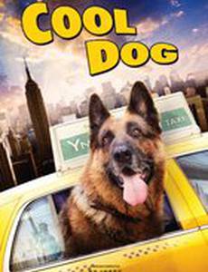 Великолепный пес (видео)