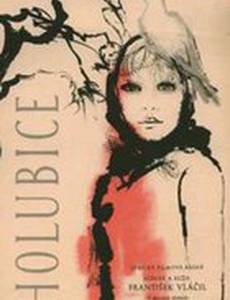 Белая голубка