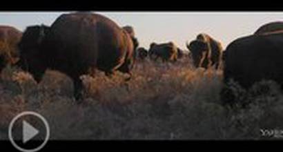 Фрагмент №4