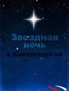 Звездная ночь в Камергерском