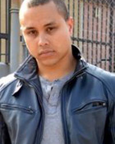 Д’Антони Палмс фото