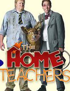 Домашние учителя