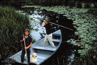 Кадр Преступный закон