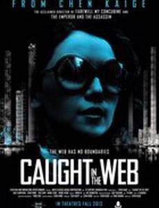 Пойманные в сеть