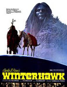 Зимний ястреб