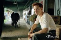 Кадр Фаворит