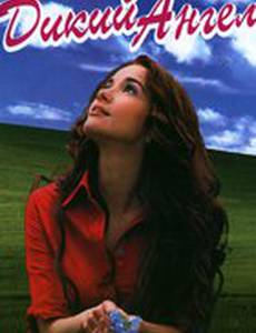 Дикий ангел