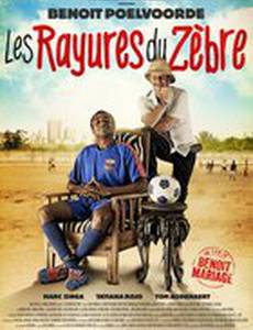 Полоски зебры