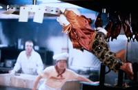 Кадр Говард-утка