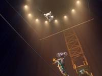 Кадр Пушистые против Зубастых