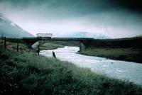 Кадр Дни кино