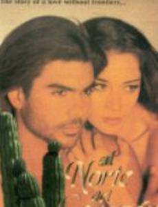 К северу от сердца