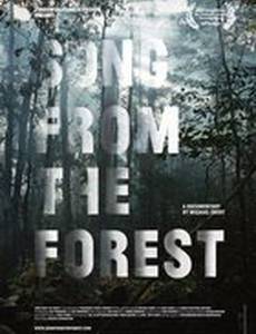 Song from the Forest