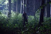 Кадр Открытая могила