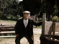 Кадр Суп из капусты