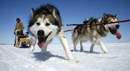 Кадр из фильма "Discovery: Наука выживать" - 1