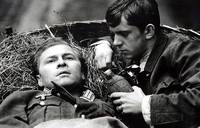 Кадр Повозка в Вену