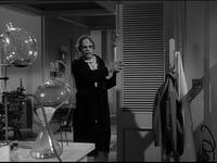 Кадр Тарантул