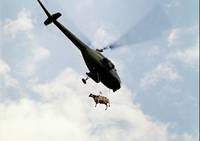 Кадр Мимино