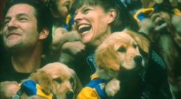 Кадр из фильма "Король воздуха: Лига чемпионов (видео)" - 2