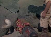 Кадр Копи царя Соломона