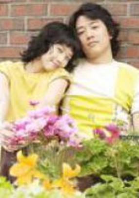 Кот на крыше