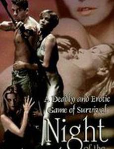 Ночь лучника