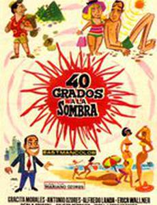 40 градусов в тени