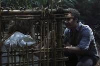 Кадр Однажды в сказке