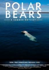 Полярные медведи