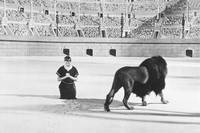 Кадр Андрокл и лев