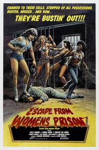 Постер Побег из женской тюрьмы