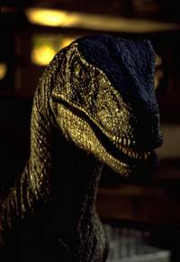 Кадр Парк Юрского периода