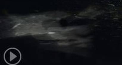 Трейлер №2 (сезон 1)