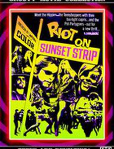 Беспорядки на Сансет-Стрип