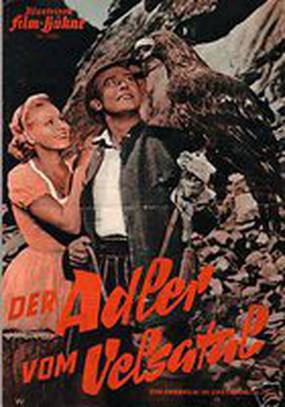 Der Adler vom Velsatal