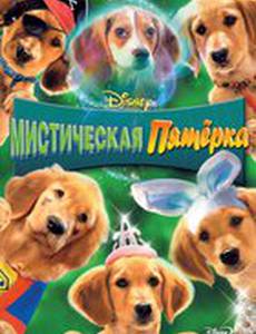 Мистическая пятерка (видео)
